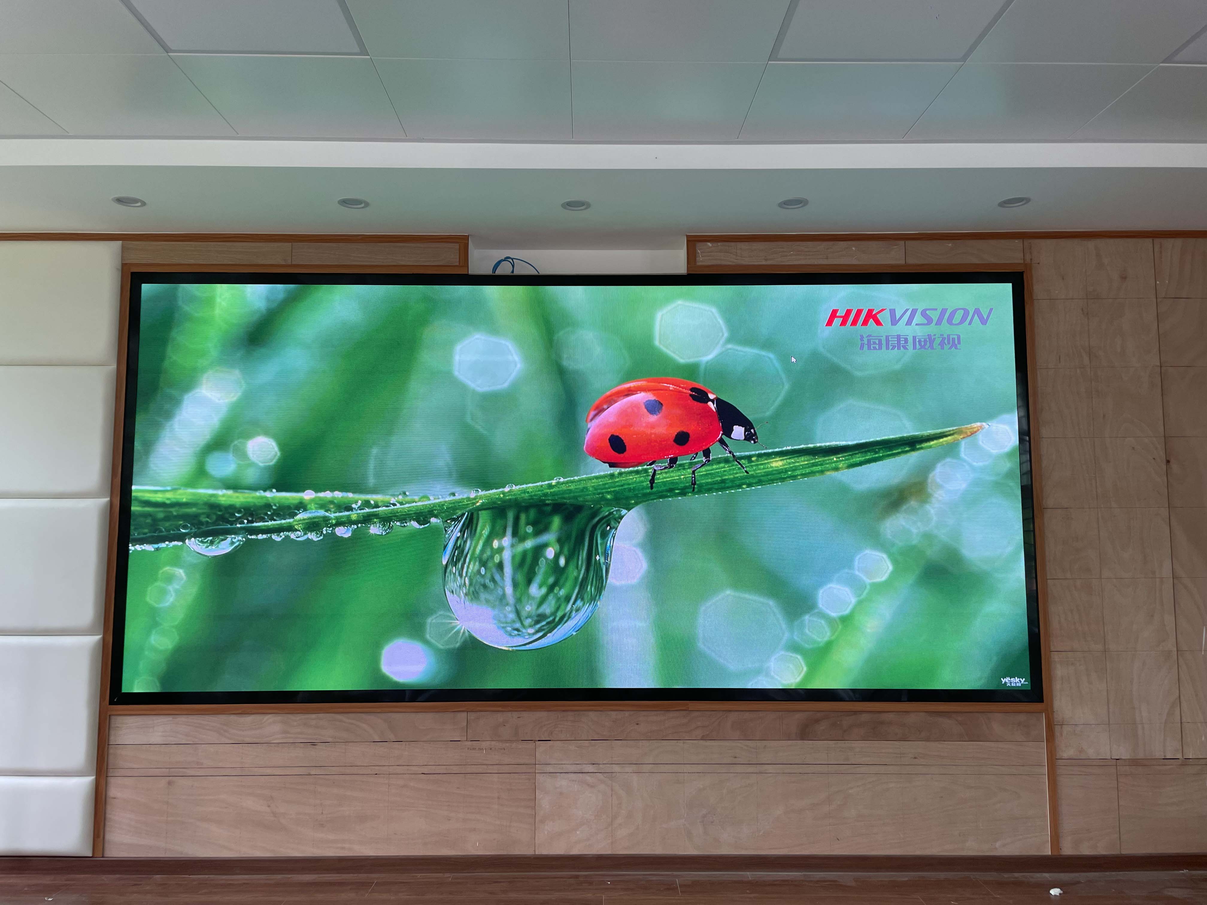 蕉嶺某單位LED顯示屏P1.86